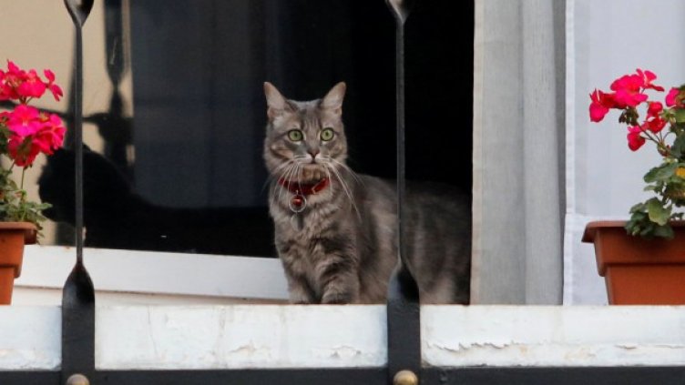 Снимка: Reuters, архив