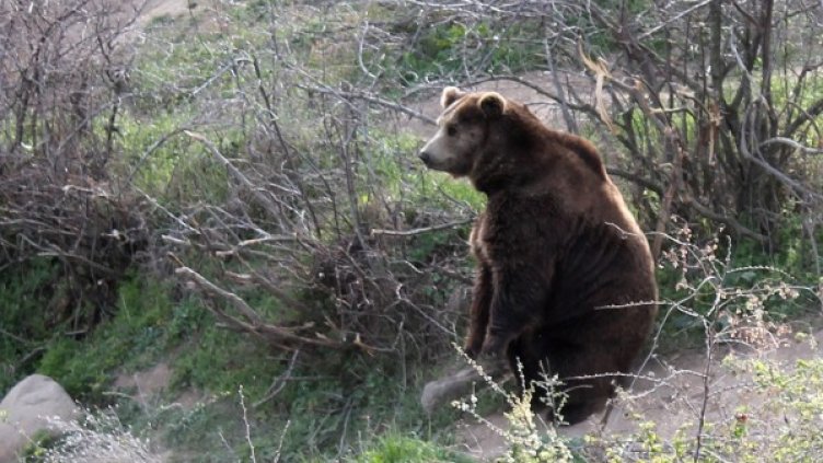 Снимка: Булфото, архив