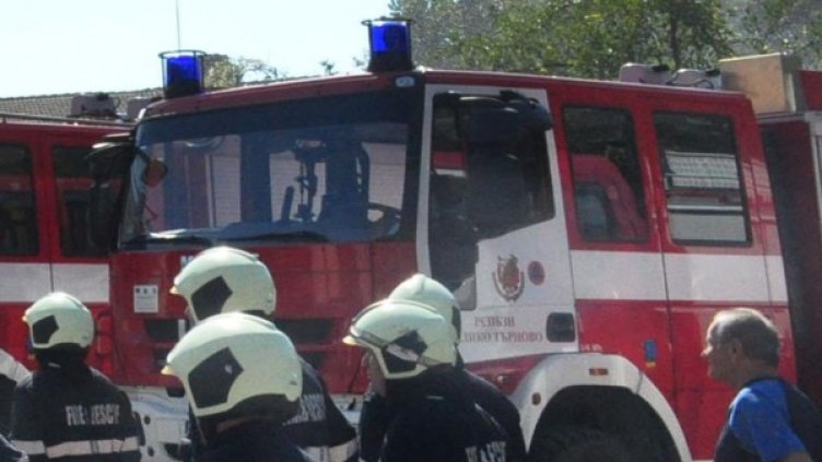 Снимка: Булфото, архив