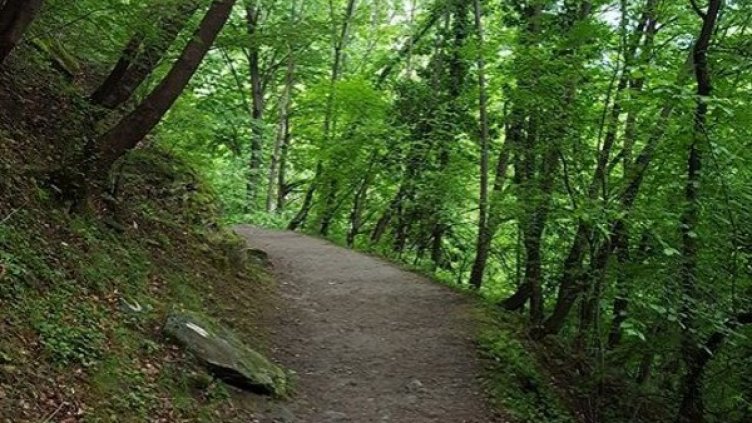 Снимка: Dnes.bg