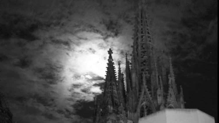 Снимка: Видка Атанасова