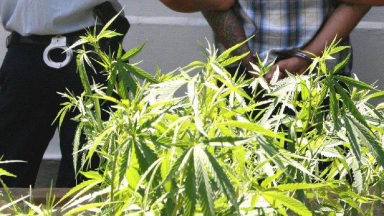 Снимка: Булфото, архив