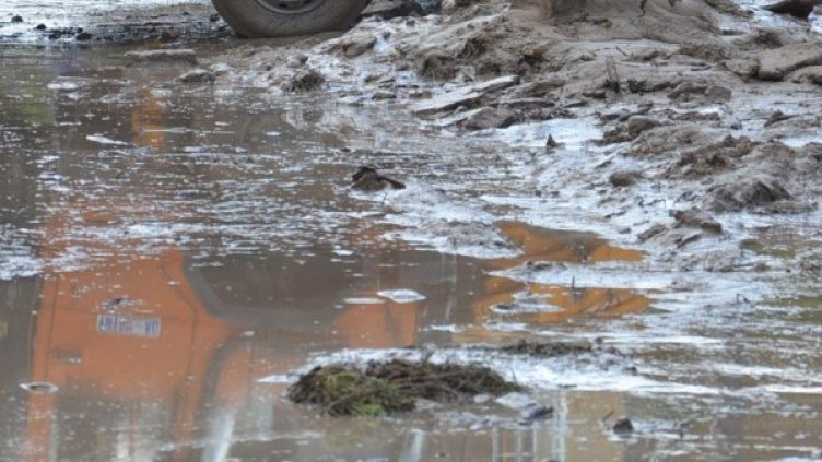 Снимка: Булфото, архив