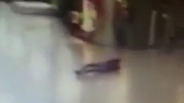 Снимка: YouTube