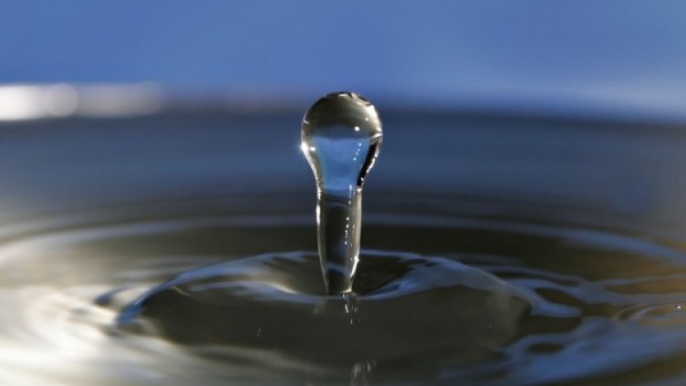 Снимка: flickr