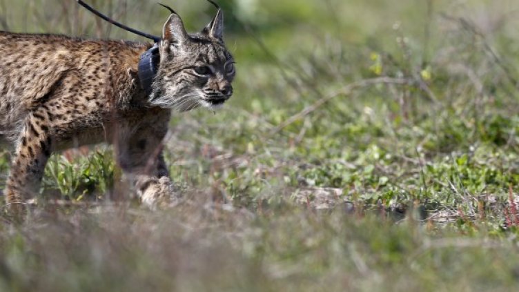 Снимка: архив Reuters