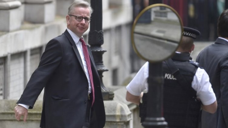 Майкъл Гоув. Снимка: архив, Reuters