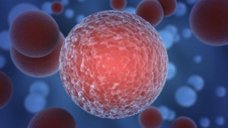 Снимка: flickr