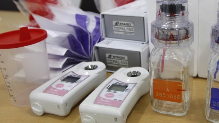 Снимка: Reuters, архив