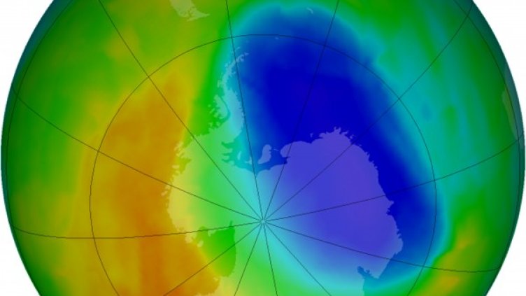 Снимка: Reuters, архив