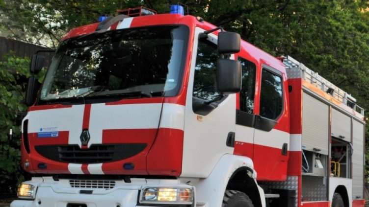 Снимка: Архив Булфото