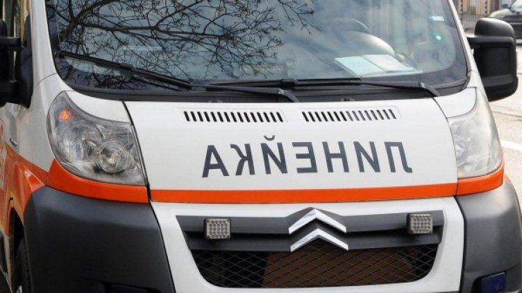 Снимка: Булфото, архив