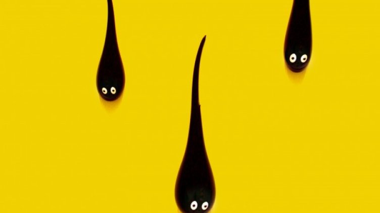 Снимка: freeimages