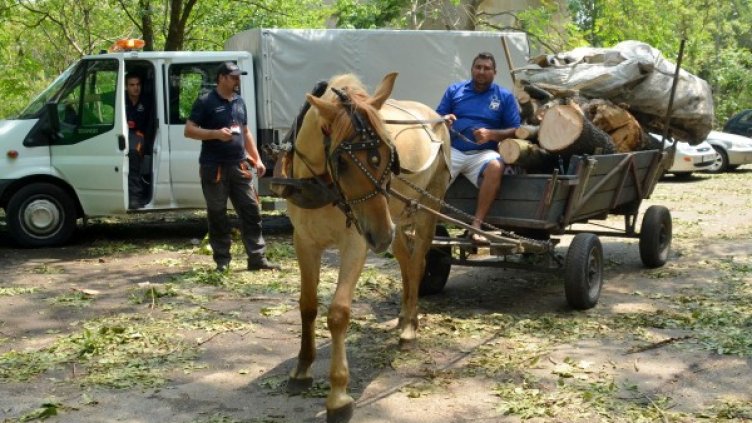 Снимка: архив, Bulphoto