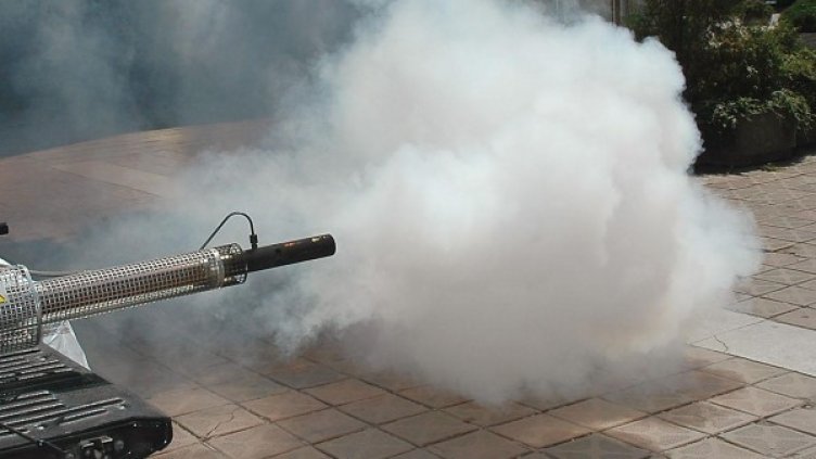 Снимка: Булфото, архив