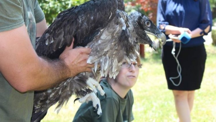 Снимка: Катерина Зарева