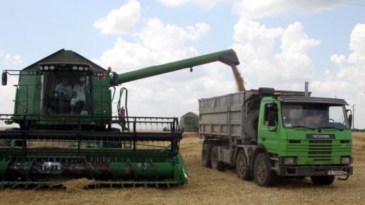 Снимка: Булфото, архив