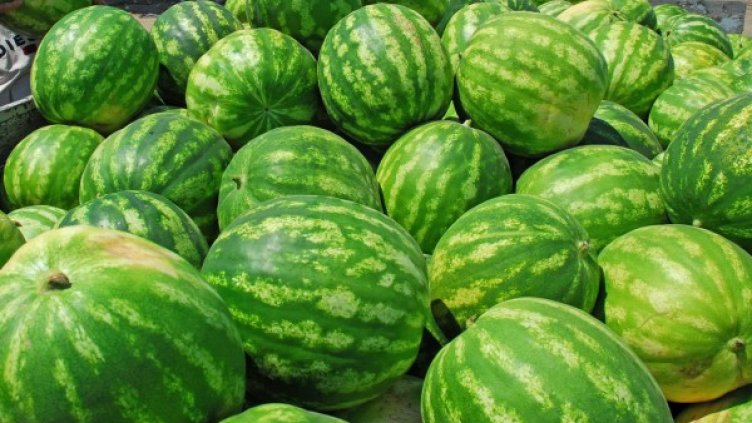 Снимка: архив Булфото