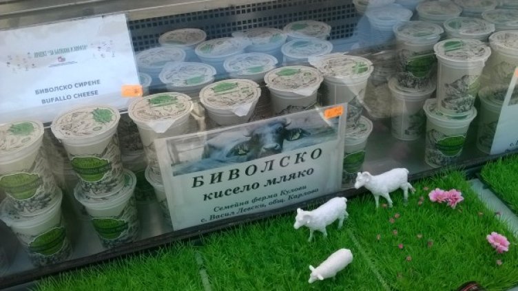 Снимка: Dnes.bg