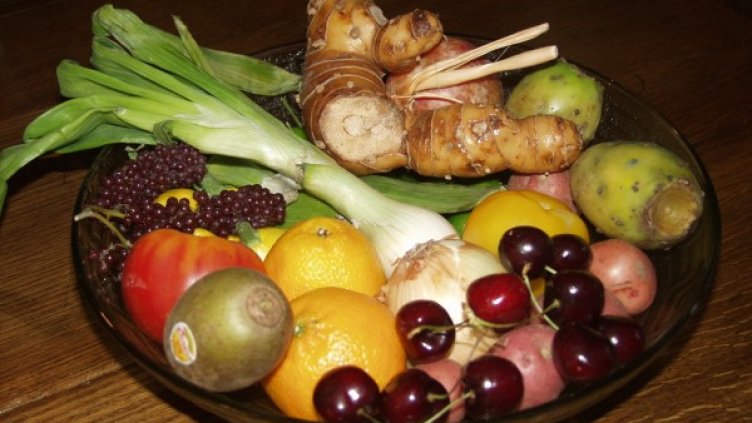 Снимка: freeimages