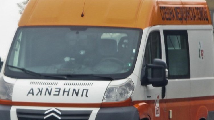 Снимка: Архив Булфото