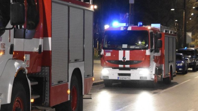 Снимка: Булфото, архив