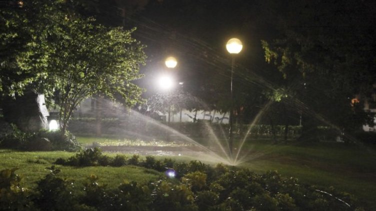 Снимка: архив, Bulphoto