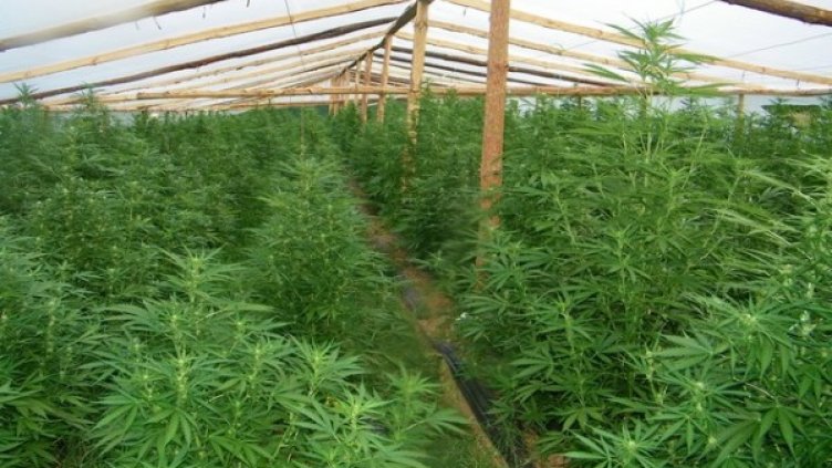 Снимка: МВР