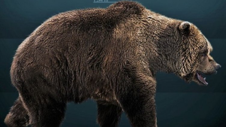 Снимка: Wikipedia