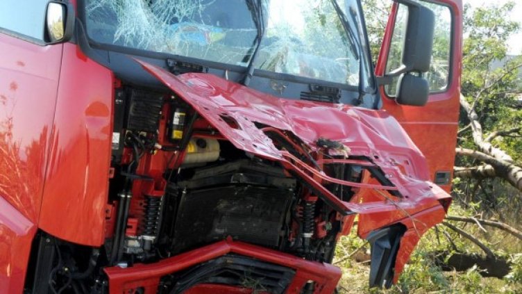 Снимка: Архив Булфото