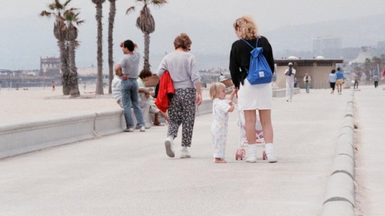 Снимка: freeimages