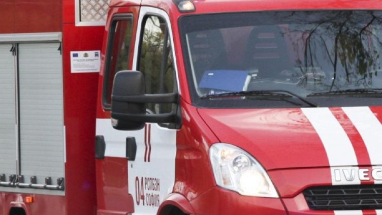 Снимка: архив Булфото