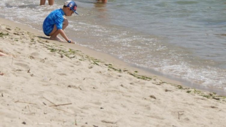 Снимка: Булфото, архив