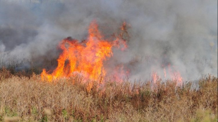 Снимка: Булфото, архив