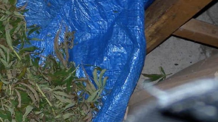 Снимка: Булфото