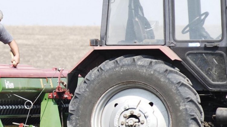 Снимка: Булфото