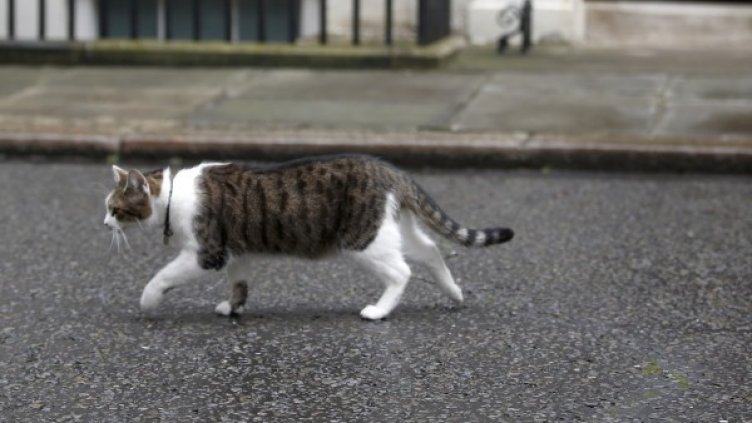 Снимка: Ройтерс