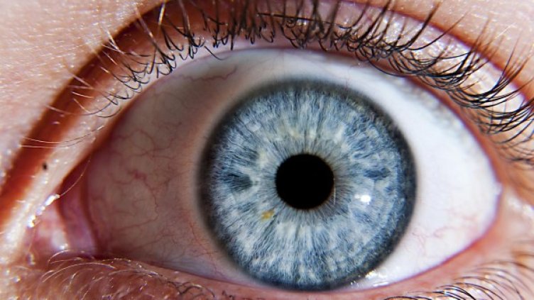 Снимка: flickr