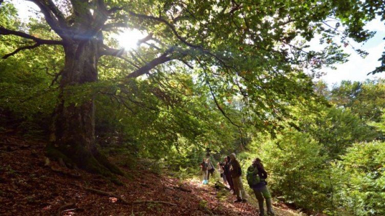 Снимка: Булфото, архив