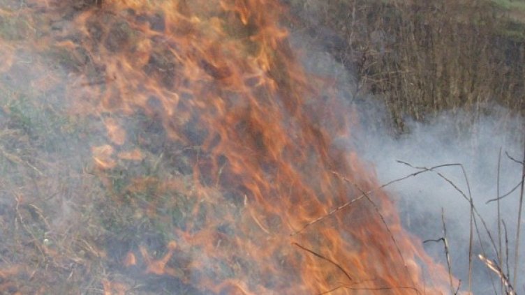 Архив: Булфото