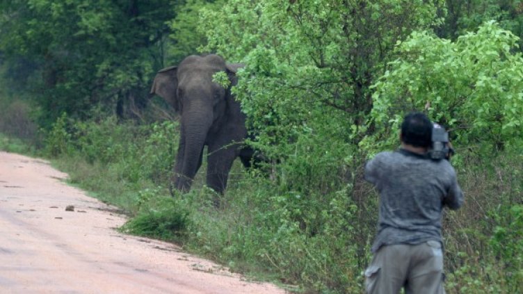 Снимка: Reuters, архив