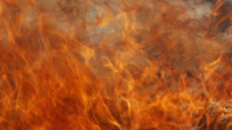 Снимка: Reuters, архив