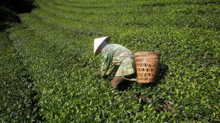 Снимка: Reuters, архив