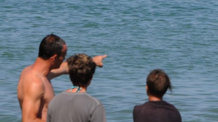 Снимка: архив, Булфото