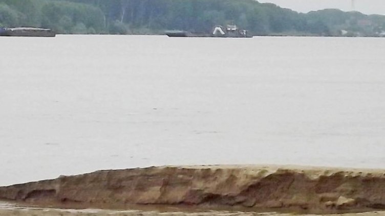 Снимка: архив Bulphoto