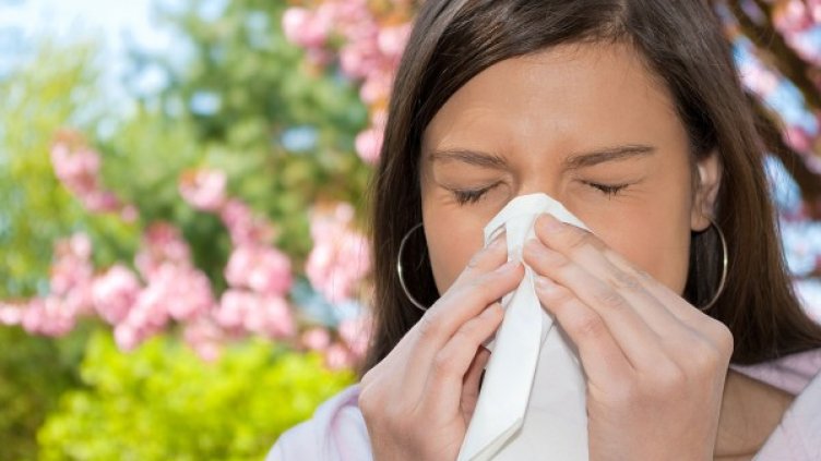 Снимка: flickr