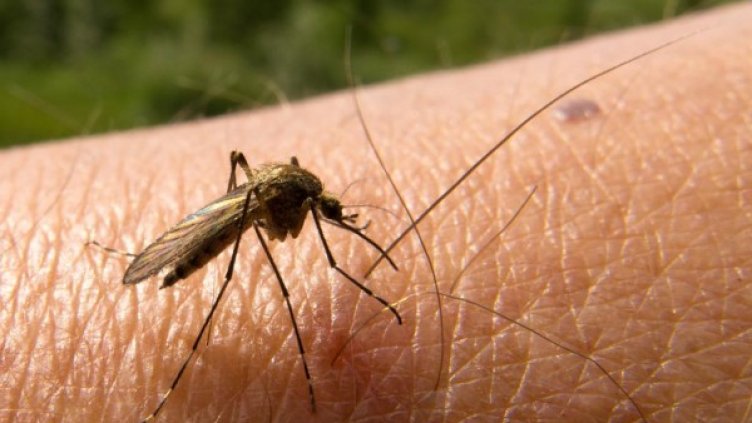 Източник: Reuters