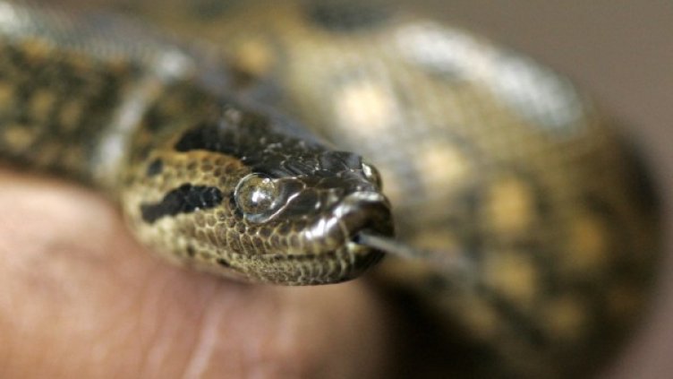 Снимка: архив, Reuters