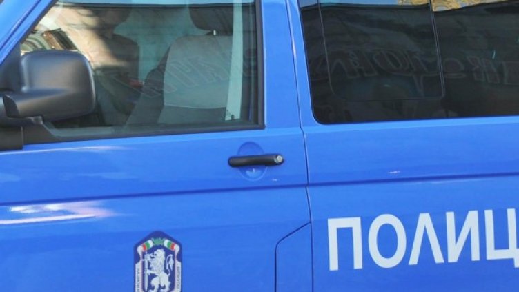 Снимка: архив, БулФото