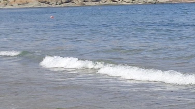 Снимка: Dnes.bg